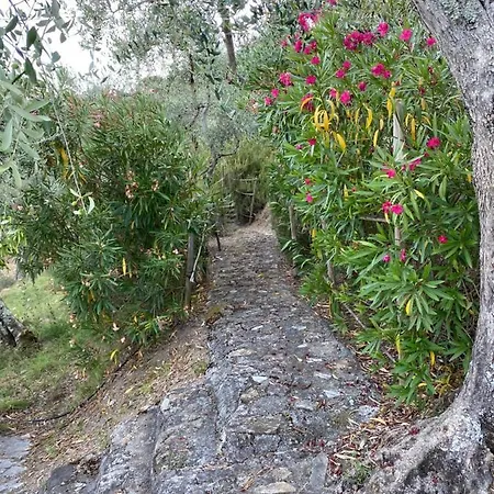 Podere Par Di Rota Villa