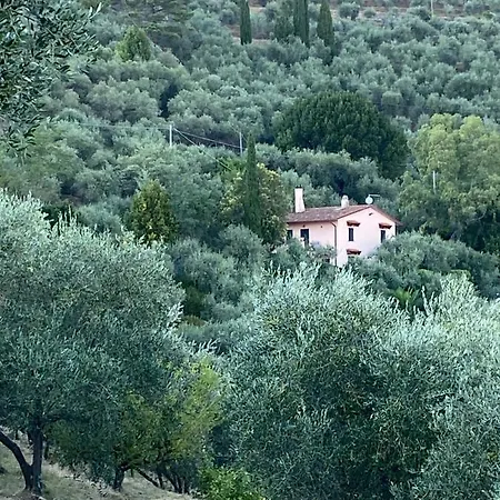 Podere Par Di Rota * Calci